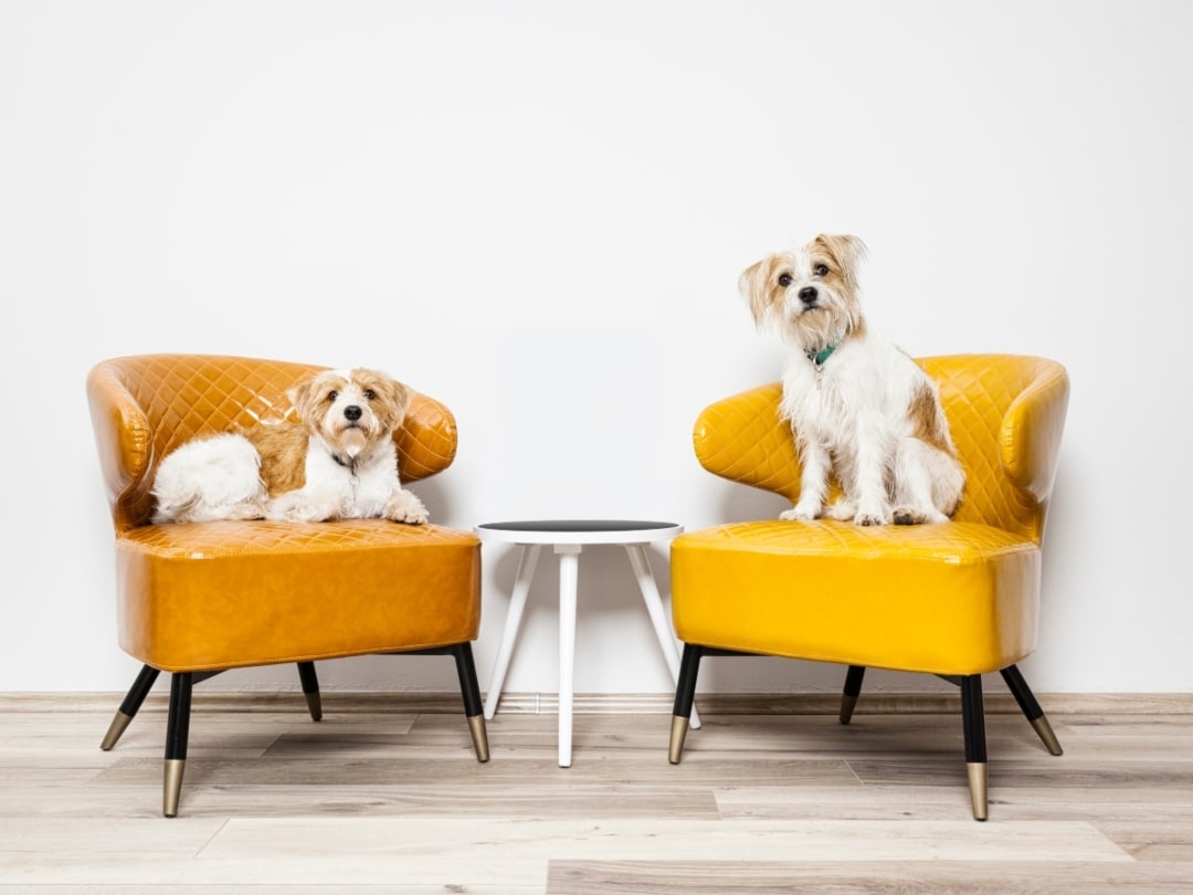 Pale yellow leather deals sofa